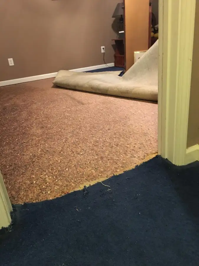 Carpet pad removal revealing water damage during Drying & Dehumidification in Rocky Mount