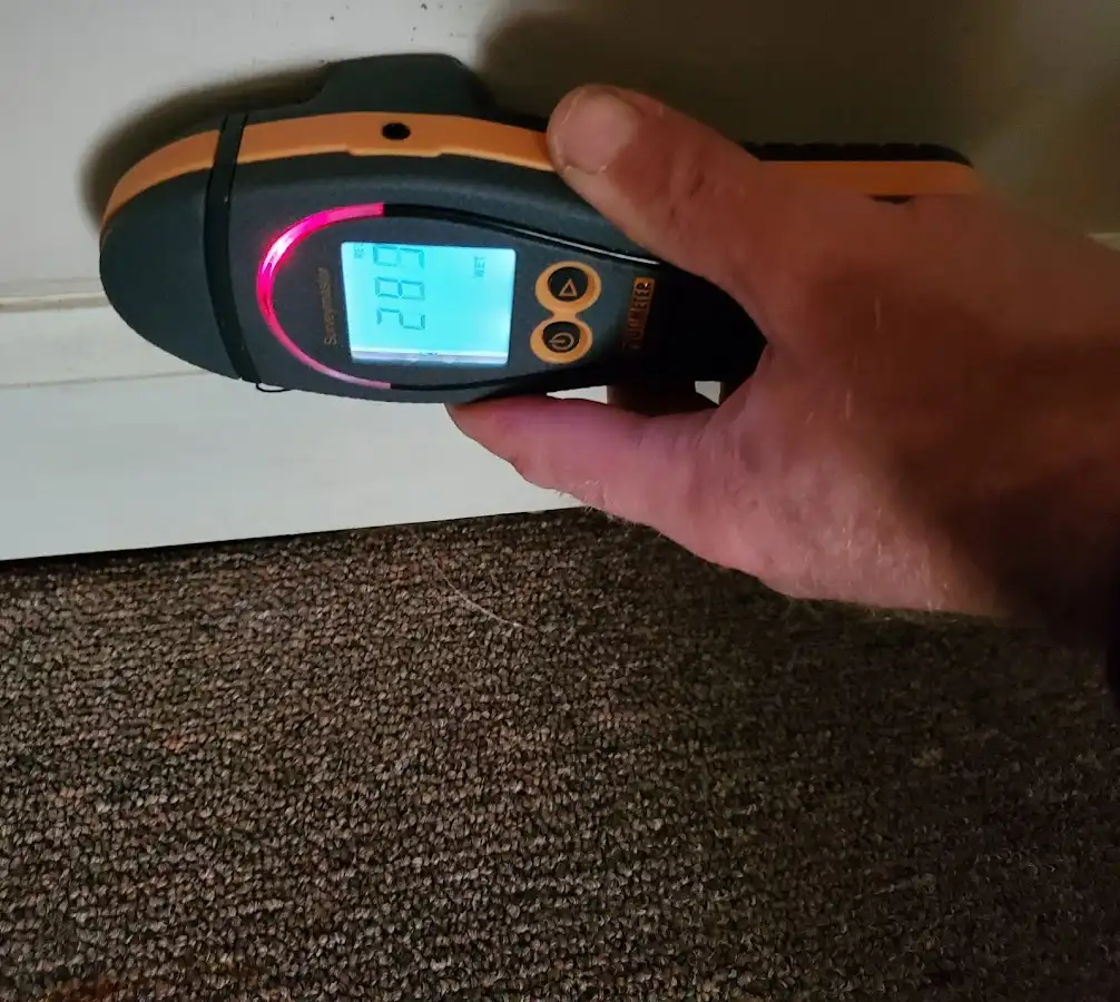 Moisture detection at baseboard during Sewage Cleanup & Sanitation in Rocky Mount